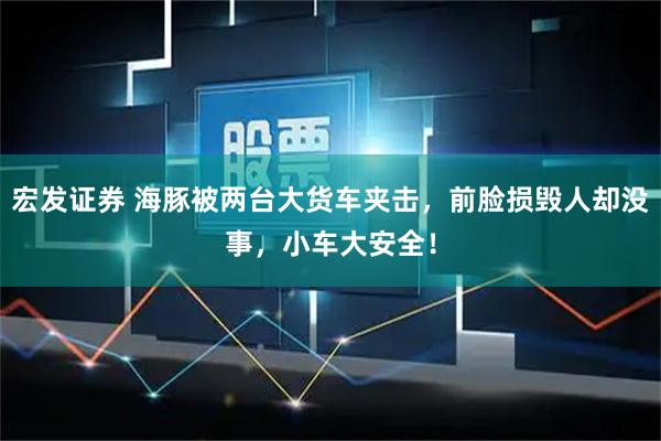 宏发证券 海豚被两台大货车夹击，前脸损毁人却没事，小车大安全！